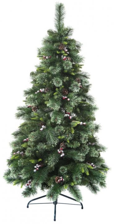 SAPIN WYOMING H180CM