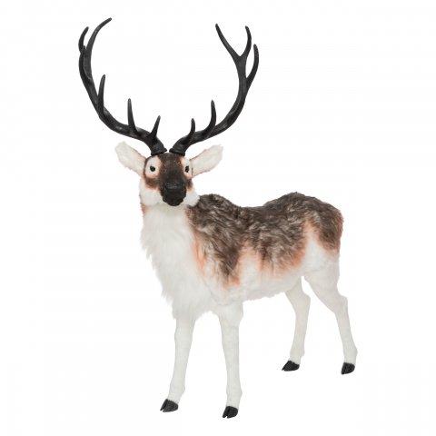 DK INT RENNE PM H134